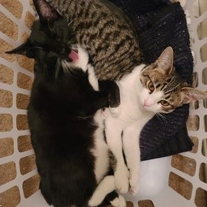 Meet your Posher, Deborah